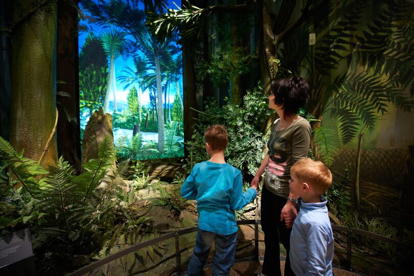 Das Bild zeigt eine Ausstellung, die den Steinkohlewald des Erzgebirges darstellt. Eine Frau steht mit zwei Kindern inmitten der nachgebildeten Waldlandschaft, die aus hohen Bäumen und dichten Pflanzen besteht. Die Szene ist von intensiven Grüntönen geprägt, und im Hintergrund ist ein großes Bild eines tropischen Waldes an der Wand zu sehen. Die Frau hält ein Kind an der Hand, und die Gruppe betrachtet die Ausstellung aufmerksam.