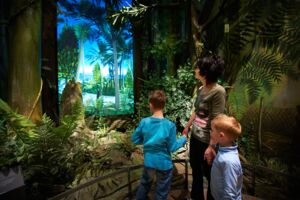 Das Bild zeigt eine Ausstellung, die den Steinkohlewald des Erzgebirges darstellt. Eine Frau steht mit zwei Kindern inmitten der nachgebildeten Waldlandschaft, die aus hohen Bäumen und dichten Pflanzen besteht. Die Szene ist von intensiven Grüntönen geprägt, und im Hintergrund ist ein großes Bild eines tropischen Waldes an der Wand zu sehen. Die Frau hält ein Kind an der Hand, und die Gruppe betrachtet die Ausstellung aufmerksam.